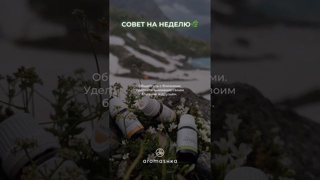 Поделитесь в комментариях своими советами на неделю💌 смотреть онлайн