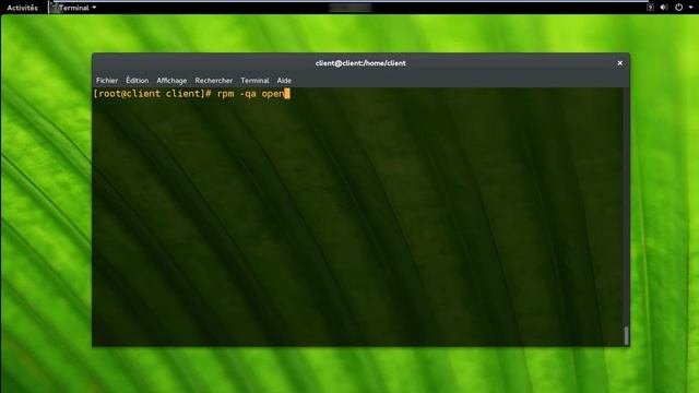 Ldap part 2 | configuration client openldap sous linux ( Parte 2 ) смотреть онлайн