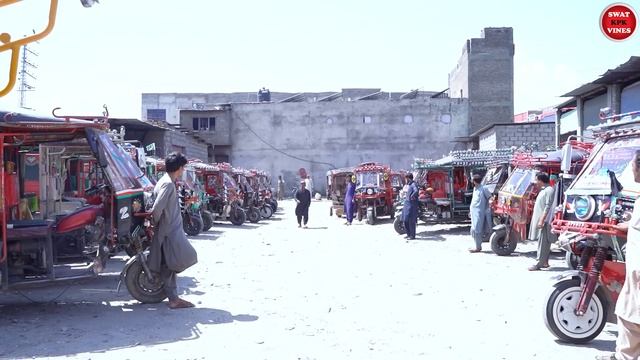 Bewaqof Rakshe Wala || New Pashto Video By Swat Kpk Vines смотреть онлайн