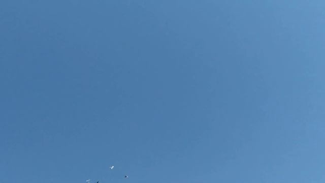 Наганиваем Узбекских двухчубых ! смотреть онлайн