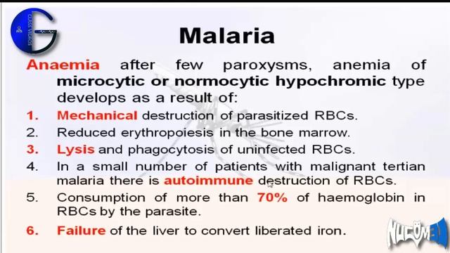 malaria | Dr.Haider смотреть онлайн