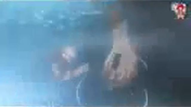 اروع مقاطع ناروتو شبودين смотреть онлайн