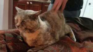 Последняя информация. Дома сижу и не работаю