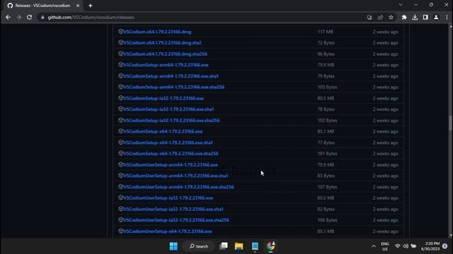 How to Install VSCodium on Windows | VScode Alternative смотреть онлайн