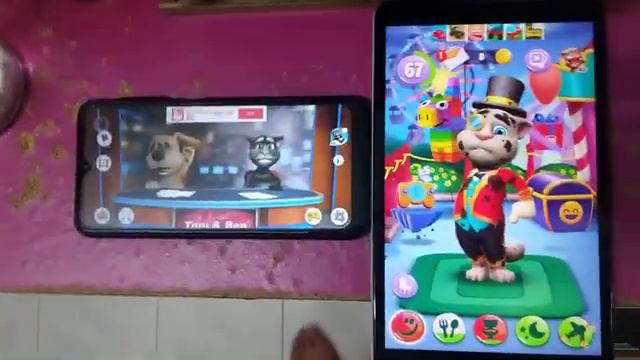 Talking News & My Talking Tom 2 Echo 3334