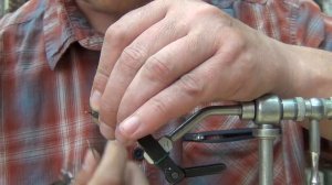 гнутышъ   личинка стрекозы