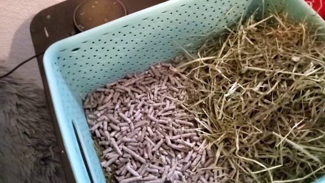 I was sick on my sister's birthday! #dumb #why #i hate this смотреть онлайн