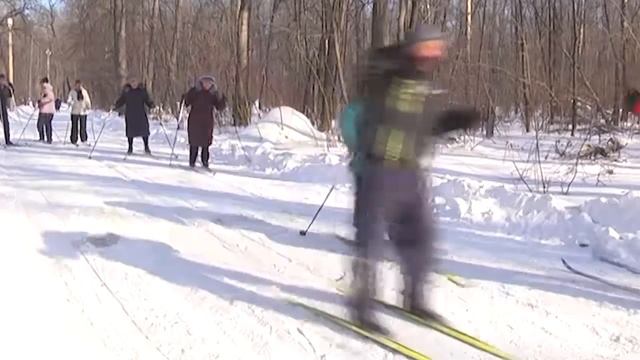 База отдыха Чайка