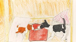 Мультфильм "Один день из жизни Скайли"