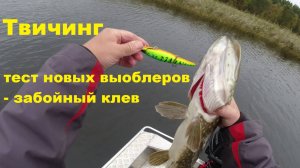 Твичинг. Забойный клев на новые приманки.