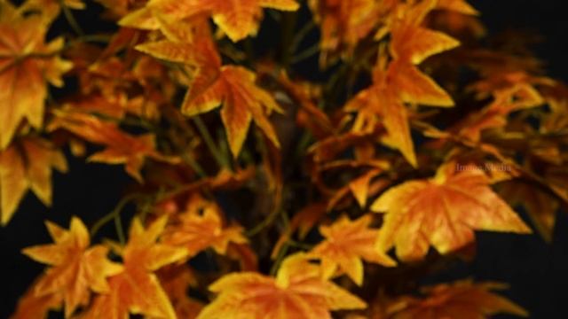 Ithuvarai Seitha l Levlin Samuel l New Year Song lImage Media смотреть онлайн