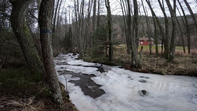Gåtur fra Bakke til Berby og tilbake смотреть онлайн
