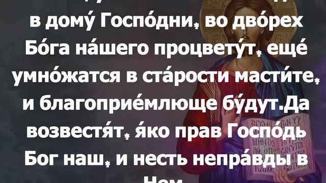 Евангелие Иисусова молитва и исповедь вечер 24 марта 2024 года смотреть онлайн
