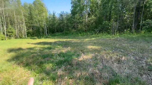 Продажа 25 соток у Леса, Приозерское шоссе Лен область смотреть онлайн