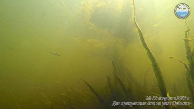 2018_08_18-19 - Два прекрасных дня на реке Судость смотреть онлайн