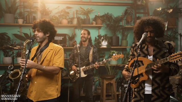 Quarter To Africa — Take 50 🌵 Succulent Sessions