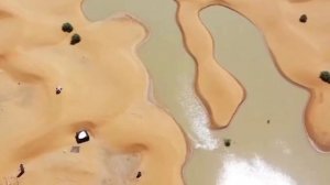 ШОК!! Наводнение в Сахаре