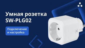 Умная розетка PLG02. Подключение и настройка