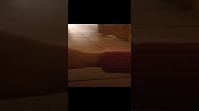 школа дикарей смотреть онлайн