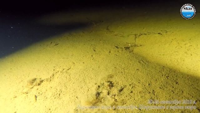 2018_09_23 - Дайвинг в горном озере у Баренцева моря смотреть онлайн