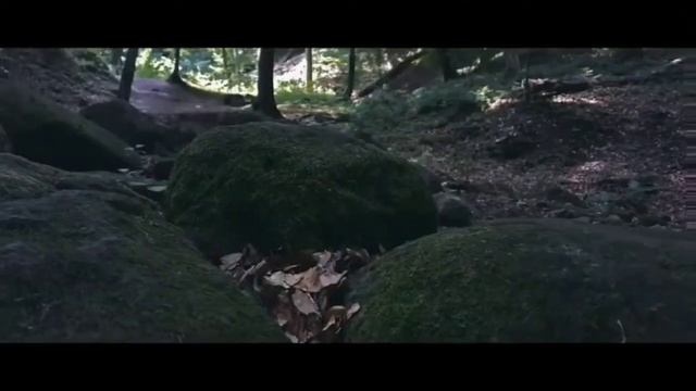 4k video recording app for Android 🔥 смотреть онлайн