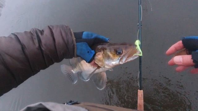 Обновлённая версия удилища KOLA SALMON Nymph Specialist #2 11'4" 5 колен. Сезон испытаний. смотреть онлайн