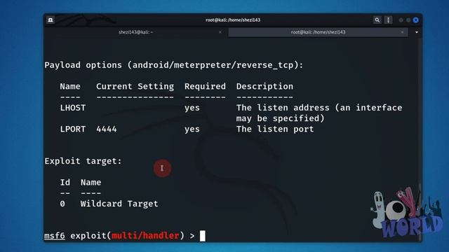 Remotely Control Android Phone From Another |  Phone Android Tips And Tricks | What Is Payload?