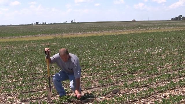 Grain Farmer Mike Kelley - NoTill смотреть онлайн