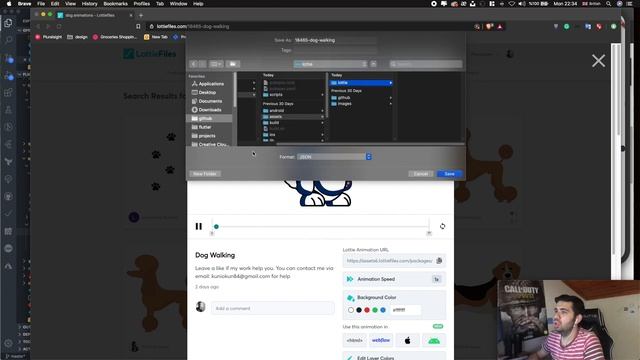 Flutter Splash Power with Lottie смотреть онлайн