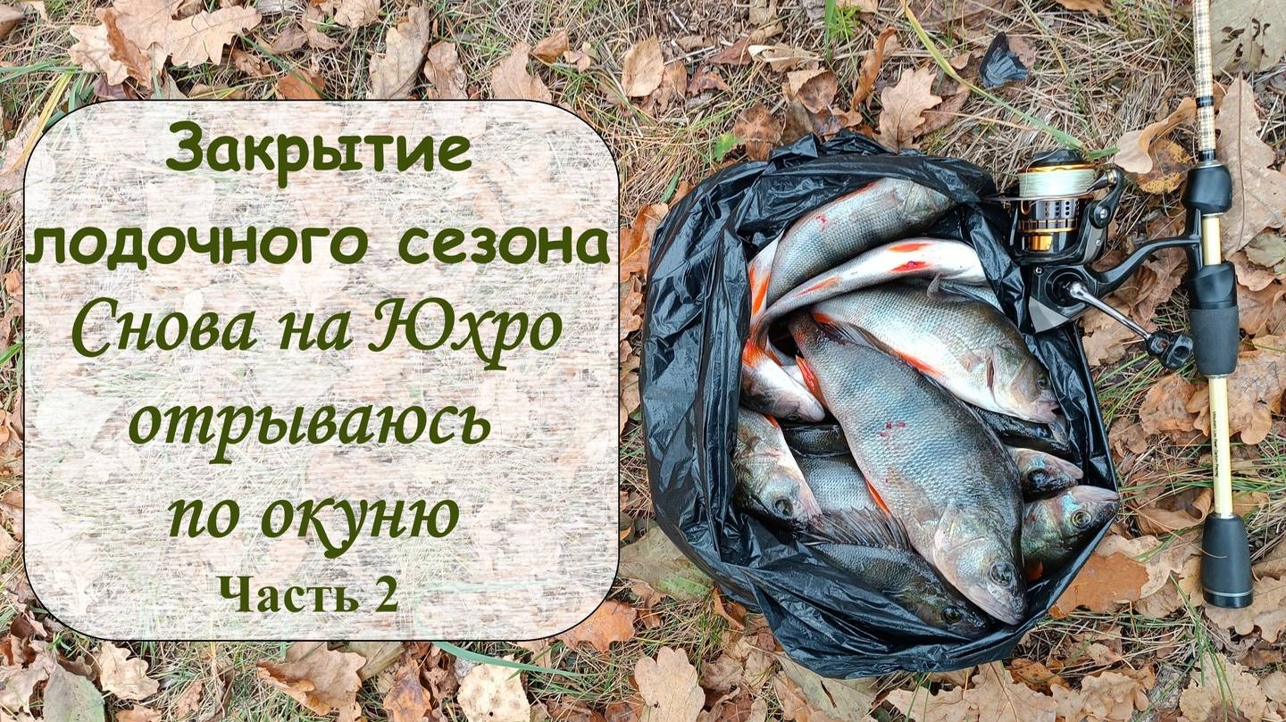 Закрытие лодочного сезона. Снова на Юхро отрываюсь по окуню. Часть 2 смотреть онлайн