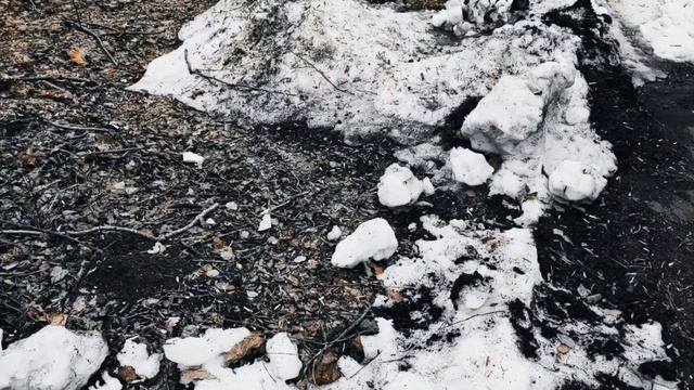 VID 20230415 212942 Цена глины (Рене Шар)...Павел Васильев Лахтинский смотреть онлайн