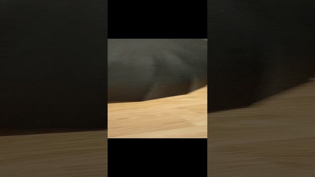 Коты и Зонтик смотреть онлайн