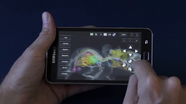 3D Rat Anatomy | Software Anatomia de Rato v1.0 - Android смотреть онлайн
