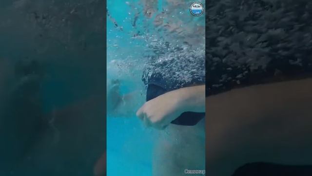 Выживание в воде от дайвинг клуба Скат смотреть онлайн