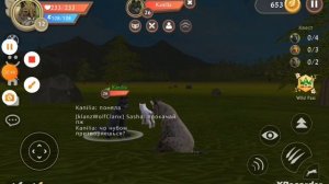 типы игроков Вайлд крафт