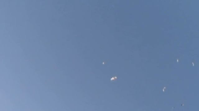 Голуби Алматы братьев Корж. тел.87013366156 Сергей, 87013246911 Александр. Часть 4