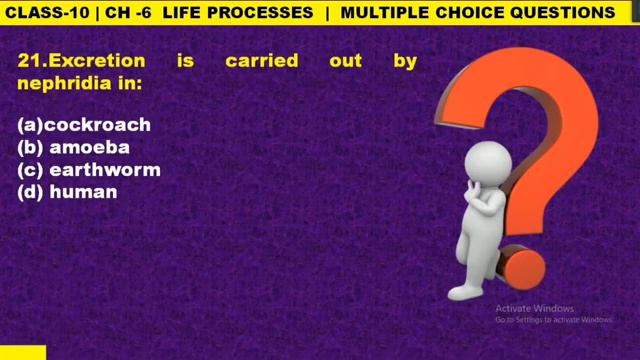 40 MOST IMPORTANT QUESTIONS FROM LIFE PROCESSES CLASS-10 смотреть онлайн