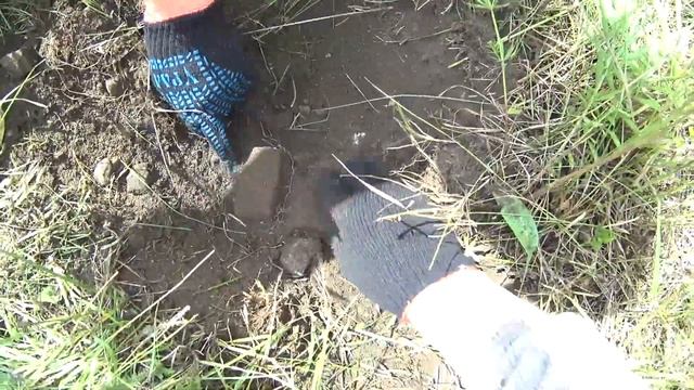 НЕ ДУМАЛИ, ЧТО БУДЕТ ЛЕГКО НА ЭТОМ МОСТУ, ГДЕ ЕЗДЯТ УРАЛЫ!!! смотреть онлайн