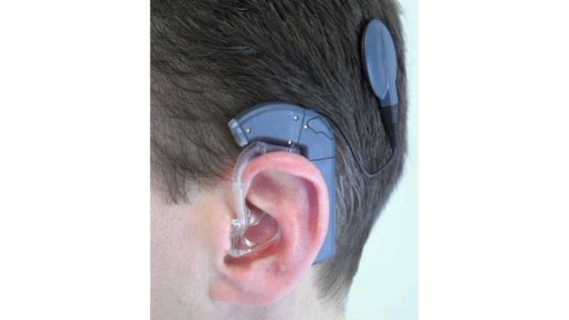 5th class- chapter 7-windows of knowledge part 2 ( study vlog) смотреть онлайн