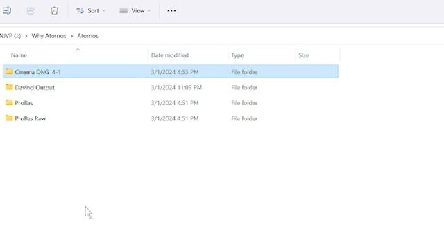 Atomos Ninja V+ Windows Woes: Editing Frustrations In Premiere & DaVinci Resolve