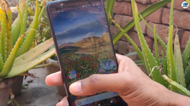 WiFi Calling On Asus Zenfone Max Pro M1 | How To Enable VoWiFi Calling??