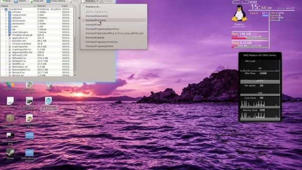 Mozilla Thunderbird on any Linux - How to install portable and always automatic update version