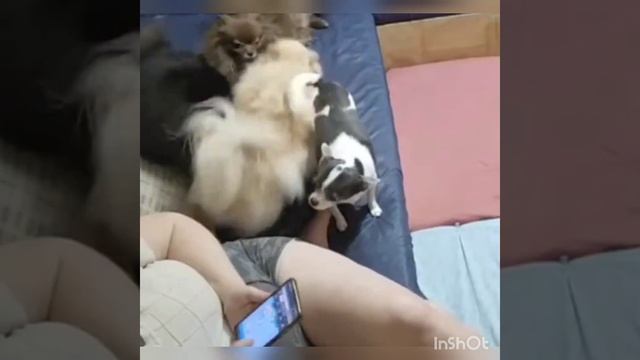 Абьюз это... смотреть онлайн