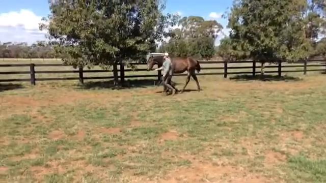 Preferment x Chita Rivera 2020 смотреть онлайн