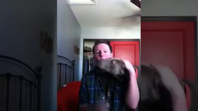 Vlog #9-GARRETT'S VLOGS: "Me and My Dog" смотреть онлайн