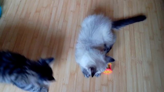 Тестовое видео Explay Blaze смотреть онлайн