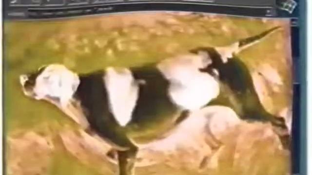Internet Explorer 1.0 Commercial (1995) G Major 74 смотреть онлайн
