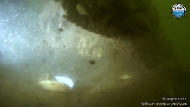 2019_08_04 - Дайвинг с раками на реке Десна смотреть онлайн