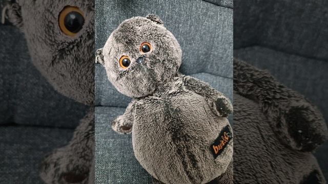 Кот и Аксолотль. Наша первая песня!