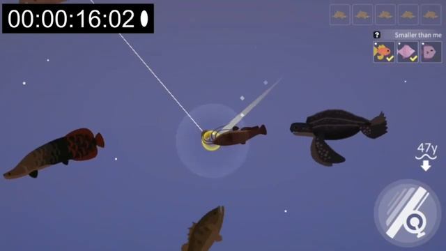 Fishing Life | New Fishing Gadget "Sinkers" | Version 0.0.79 смотреть онлайн